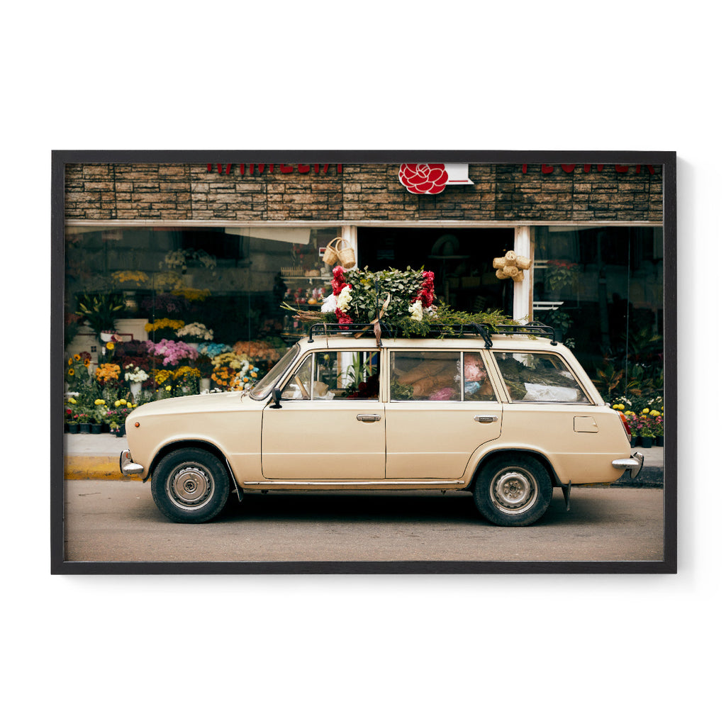 Flower Van, Alexandria